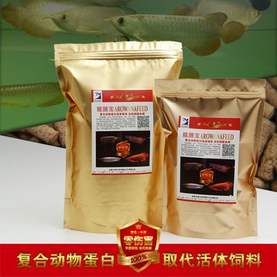 大红龙鱼能吃吗怎么喂饲料：大红龙鱼能吃吗