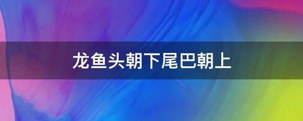 龙鱼头朝下尾巴朝上还能活吗：龙鱼头朝下尾巴朝上怎么回事 龙鱼百科 第3张