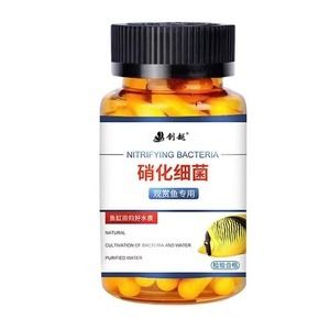 龙鱼眼睛肿了用什么药：龙鱼眼睛肿了怎么办