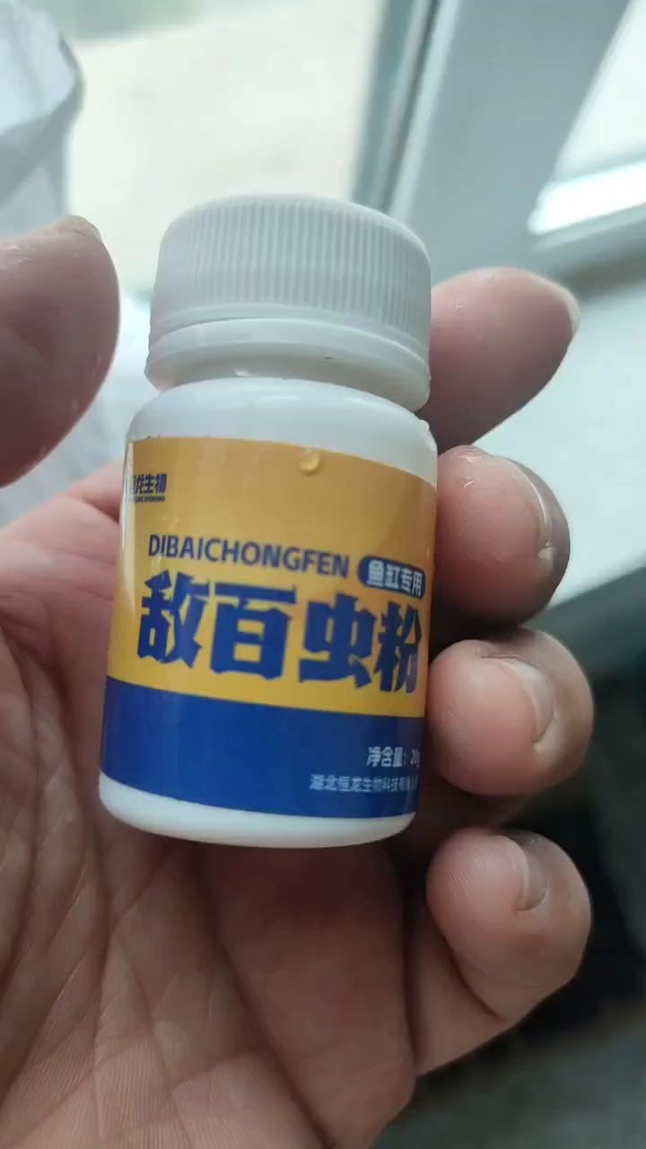 杀杀虫：阿维杀了两次不管用呢! 观赏鱼论坛