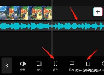 淡化海龟和龙鱼混养：淡化海龟和龙鱼混养可行吗？ 龙鱼百科 第3张