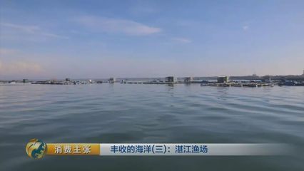 黄龙鱼和什么鱼一起养：黄龙鱼可以与什么鱼混养 龙鱼百科 第2张