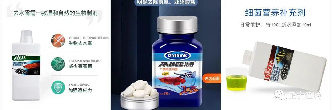 红龙鱼起水霉：红龙鱼起水霉怎么办 龙鱼百科 第2张