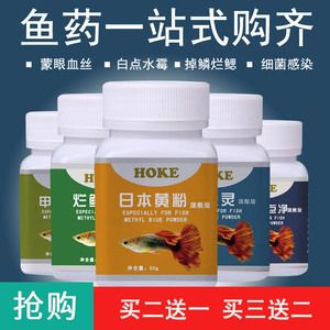 龙鱼治肠炎用什么药最好使：龙鱼肠炎怎么治疗 龙鱼百科 第3张