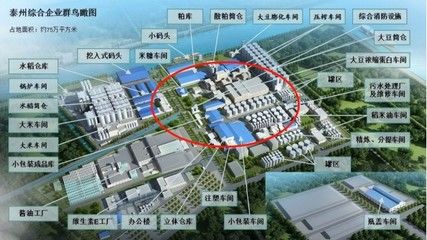 防城港金龙鱼批发市场：防城港地区的金龙鱼批发市场主要集中在水产市场和一些专门的渔场