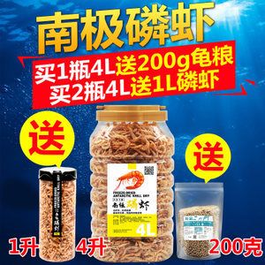 龙鱼野生环境下吃什么饲料：龙鱼在野生环境下主要食用动物性饲料和合成饲料选择 龙鱼百科 第3张