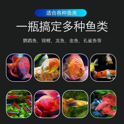 龙鱼吃甲硝唑可以吗怎么喂：甲硝唑可以直接给龙鱼食用吗