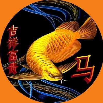 金龙鱼的吉祥词句有哪些：金龙鱼的吉祥词句