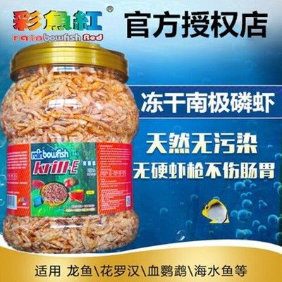 龙鱼不吃食怎么调理肠胃好：龙鱼不吃食怎么调理肠胃好龙鱼不吃食怎么办 龙鱼百科 第3张