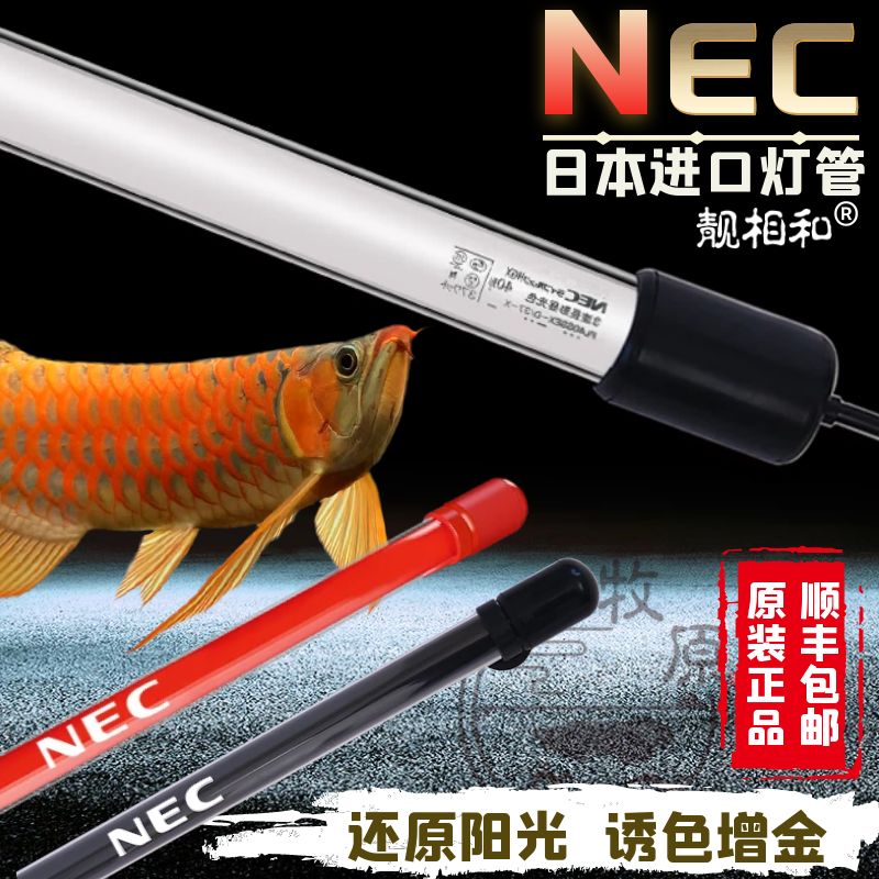 nec龙鱼灯一天要开多久：nec龙鱼灯一天开多久开多久开几个小时灯 龙鱼百科 第3张