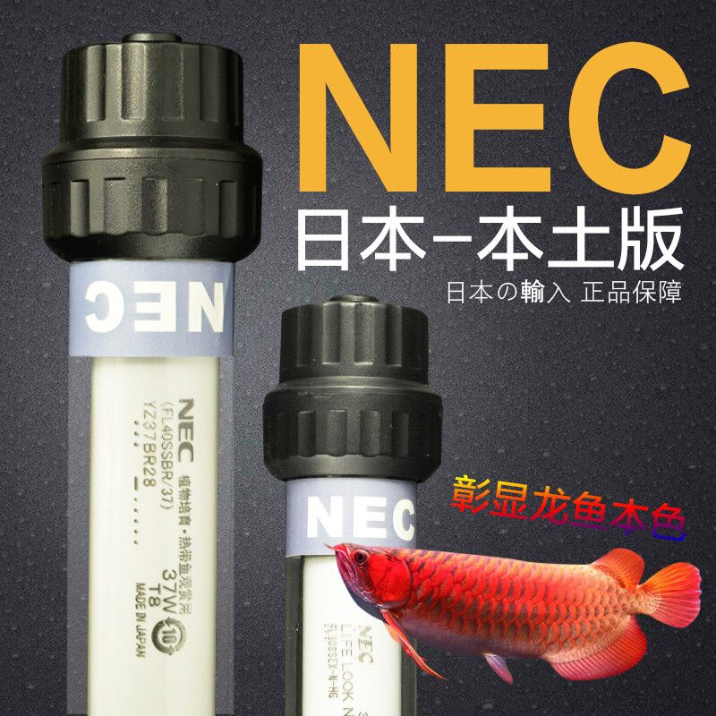 nec龙鱼灯一天要开多久：nec龙鱼灯一天开多久开多久开几个小时灯 龙鱼百科 第2张