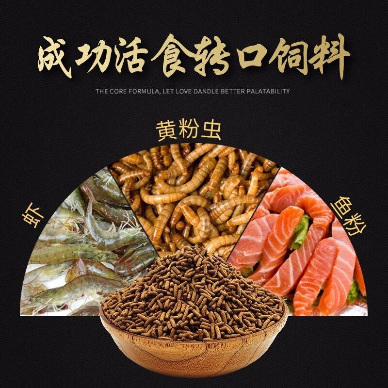 龙鱼喂什么食物长得快又好养：最适合龙鱼的食物类型和喂食注意事项 龙鱼百科