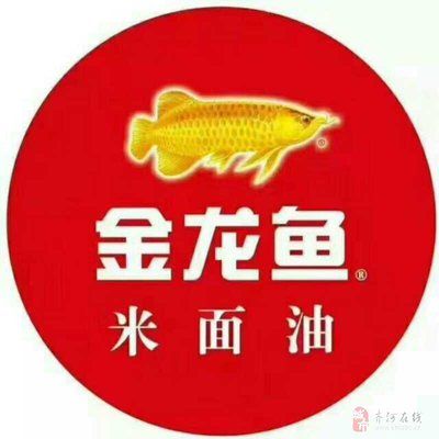 金龙鱼门店文员怎么样：金龙鱼门店文员的薪资待遇如何 龙鱼百科 第2张