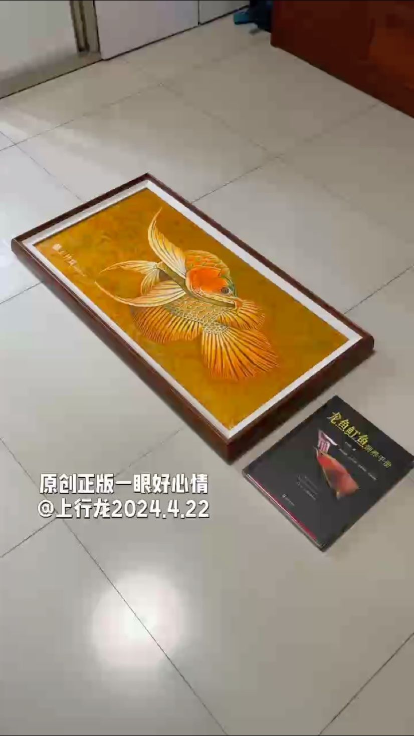 让人过目不忘的红龙鱼，龙鱼极品油画！ #：千锤百炼出来的新作品，一盏射灯即可让画眼前一亮，版权所有禁商用 观赏鱼论坛