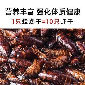 龙鱼吃蟑螂干好吗怎么喂：龙鱼可以吃蟑螂干吗，龙鱼吃蟑螂干好吗怎么喂 龙鱼百科 第1张