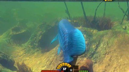 蓝色金龙鱼大猎杀：《海底大猎杀》中的蓝色金龙鱼是一种怎样的存在？ 龙鱼百科 第1张