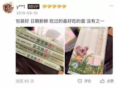 金龙鱼能不能吃鸡蛋：金龙鱼可以吃鸡蛋吗 龙鱼百科