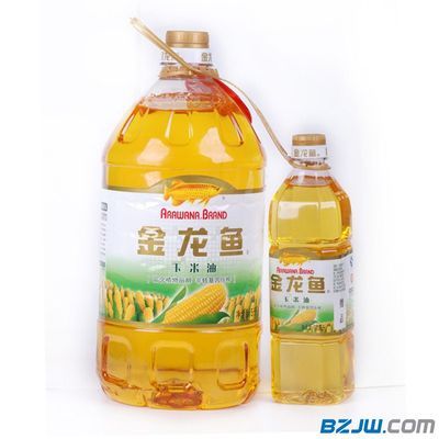 金龙鱼核心产品有哪些：金龙鱼核心产品 龙鱼百科 第1张