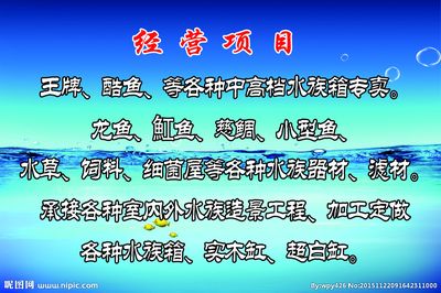 龙鱼商家微信怎么登录：龙鱼商家如何通过微信登录龙鱼商家微信怎么登录 龙鱼百科 第2张