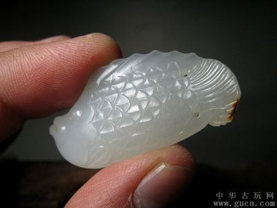 白玉金龙鱼风水作用与禁忌：养金龙鱼的风水讲究