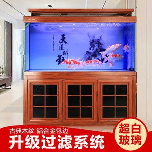 龙鱼缸大小风水讲究：养龙鱼的风水讲究 龙鱼百科 第1张