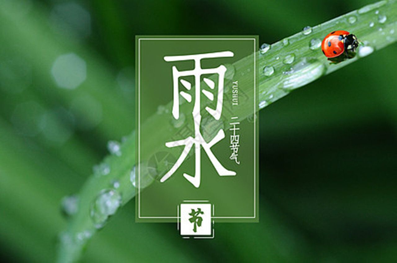 雨水可以养龙鱼吗：雨水可以养龙鱼吗，