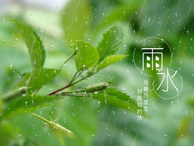 雨水可以养龙鱼吗：雨水可以养龙鱼吗，