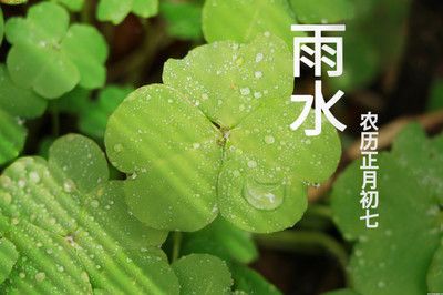 雨水可以养龙鱼吗：雨水可以养龙鱼吗，