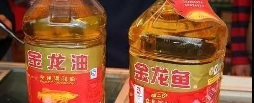 金龙鱼属于什么档次的品牌：金龙鱼属于什么档次的品牌品牌