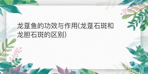 龙鱼的拼音怎么拼写：龙鱼的拼音怎么拼 龙鱼百科 第2张