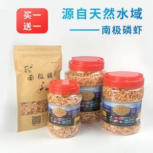 巢湖龙鱼专卖店：巢湖市龙鱼专卖店 龙鱼百科 第3张