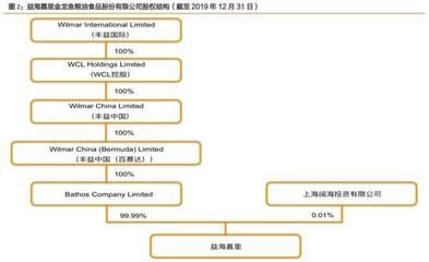 金龙鱼股权结构图解：益海嘉里金龙鱼粮油食品股份有限公司金龙鱼股权结构图解