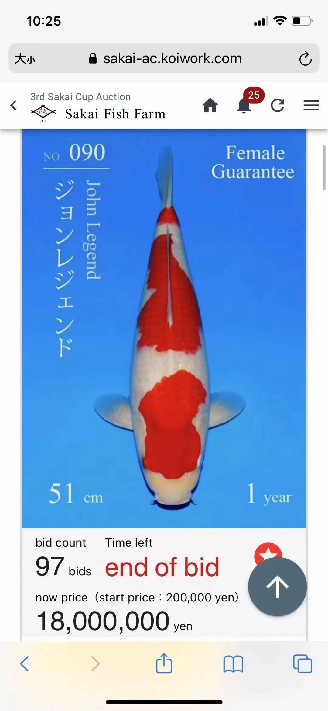 阪井拍卖会：日本阪井养鲤厂一尾45公分的红白拍出2000万日元 观赏鱼论坛 第2张