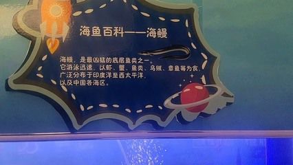 龙鱼缸底层鱼哪些鳗鱼：鳗鱼不是最适合与龙鱼混养的底层鱼