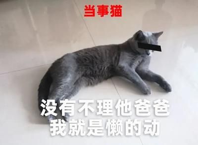 金龙鱼白眼怎么治好：金龙鱼白眼怎么治好金龙鱼白眼怎么治好