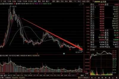 为什么金龙鱼流通那么少：为什么金龙鱼流通股少 龙鱼百科 第2张