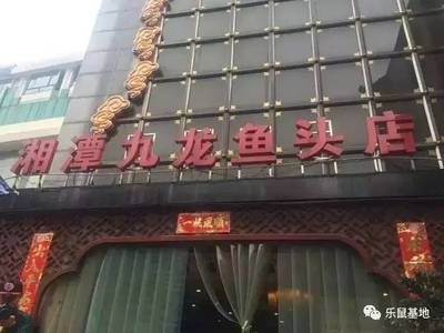 九龙鱼头在长沙有几家店面：九龙鱼头在长沙有几家店面？ 龙鱼百科 第1张