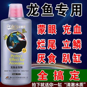 治疗龙鱼水霉最便宜的方法：治疗龙鱼蒙眼的关键是早期发现和及时治疗龙鱼蒙眼的关系 龙鱼百科 第2张