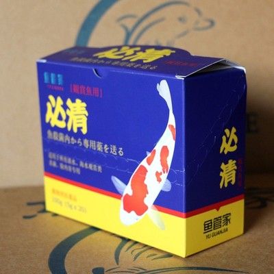 红龙鱼立鳞可以喂食吗：红龙鱼立鳞期间可以喂食吗红龙鱼立鳞可以喂食吗