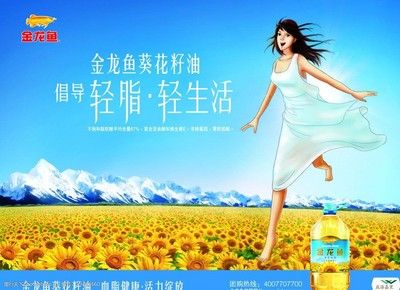 金龙鱼广告创意：金龙鱼广告创意的一大特点是以家庭为场景传递温馨情感 龙鱼百科 第3张