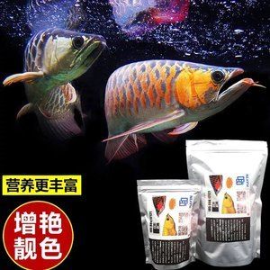 金龙鱼用马印灯：金龙鱼可以使用马印灯吗 龙鱼百科 第1张