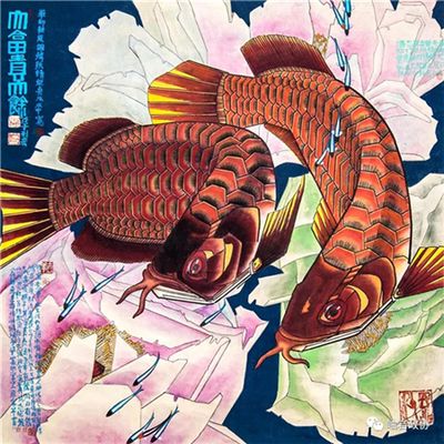 画金龙鱼的画家有哪些人：画金龙鱼的画家有哪些 龙鱼百科 第1张