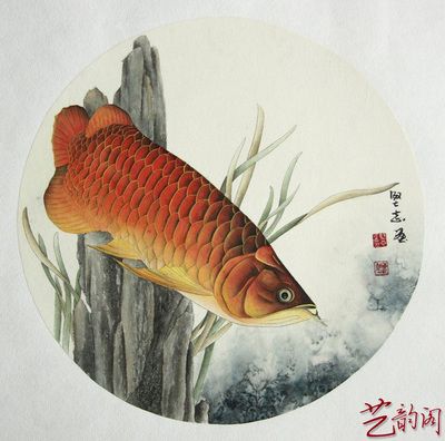 画金龙鱼的画家有哪些人：画金龙鱼的画家有哪些 龙鱼百科 第2张