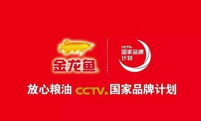 金龙鱼哪个国家的好：金龙鱼品牌归属于不同的国家