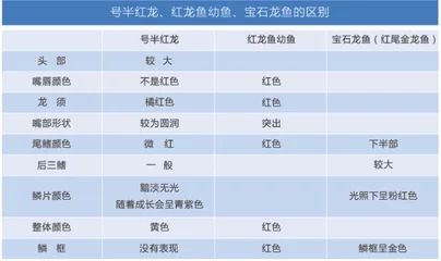 龙鱼掉鳞片要治疗吗多少钱：龙鱼掉了一片鳞要治疗吗， 龙鱼百科 第1张