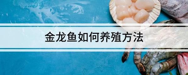 金龙鱼怎么打开金龙鱼的包装油壶的开启步骤如下：金龙鱼包装油壶开启步骤金龙鱼包装油壶开启步骤 龙鱼百科 第3张