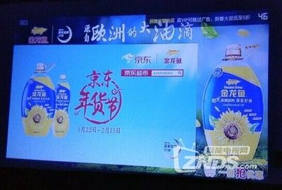 金龙鱼长期不开灯会对它的健康、颜色和行为模式产生影响：金龙鱼长期不开灯会对其健康、颜色和行为模式产生影响