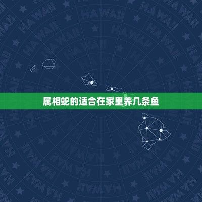 红龙鱼在文化上更多地被视为吉祥物或风水鱼代表什么生肖：红龙鱼代表什么生肖动物 龙鱼百科 第3张