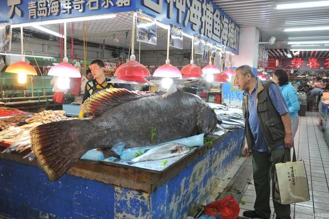 金龙鱼品牌的鱼籽适合食用吗？：金龙鱼品牌的鱼籽是否适宜食用 龙鱼百科 第2张