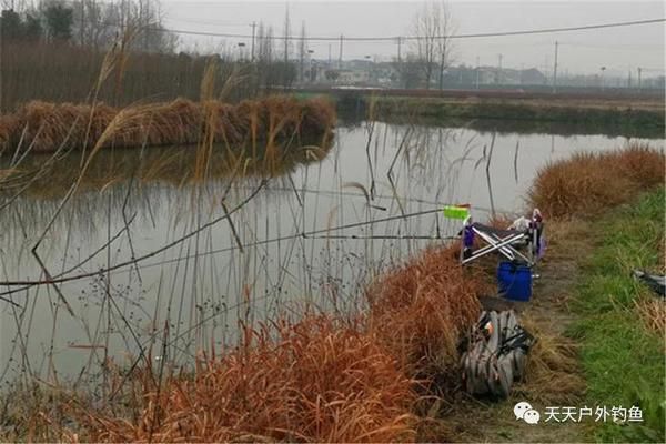 白龙鱼白龙鱼垂钓的最佳天气因季节而异，适合夏季钓鱼：白龙鱼垂钓的最佳天气